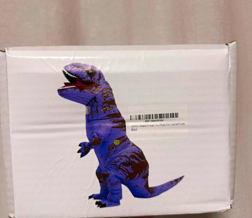 Purple inflatable rex - purple, t-rex