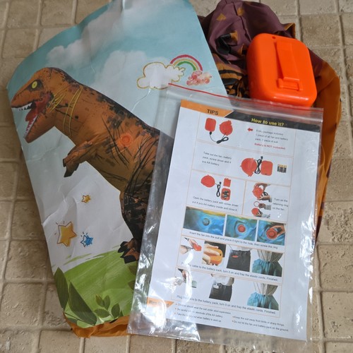 Kids inflatable rex - rex, dinosaur
