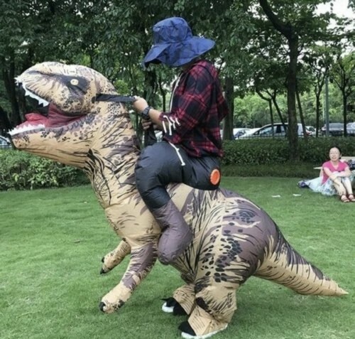 Inflatable rex dinosaur - inflatable,