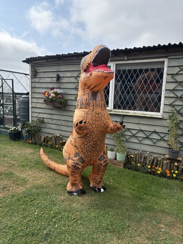 Adult dinosaur costume - adult,